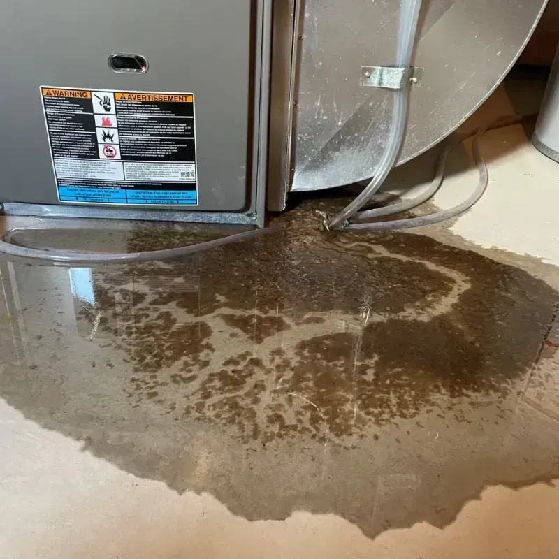 Appliance Leak Cleanup in Franklin, IN